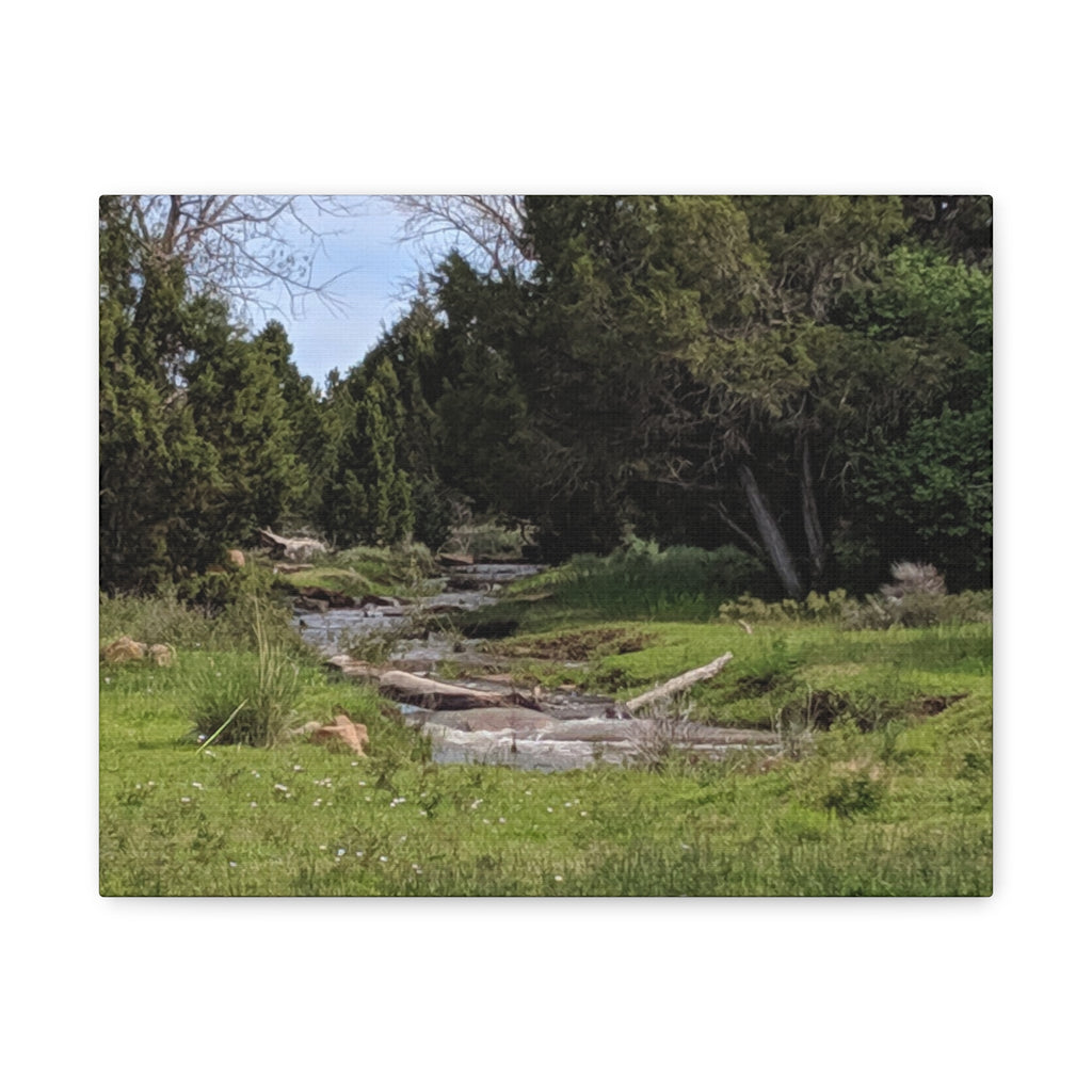 River Meadow Canvas Print — Tranquil Nature Wall Art