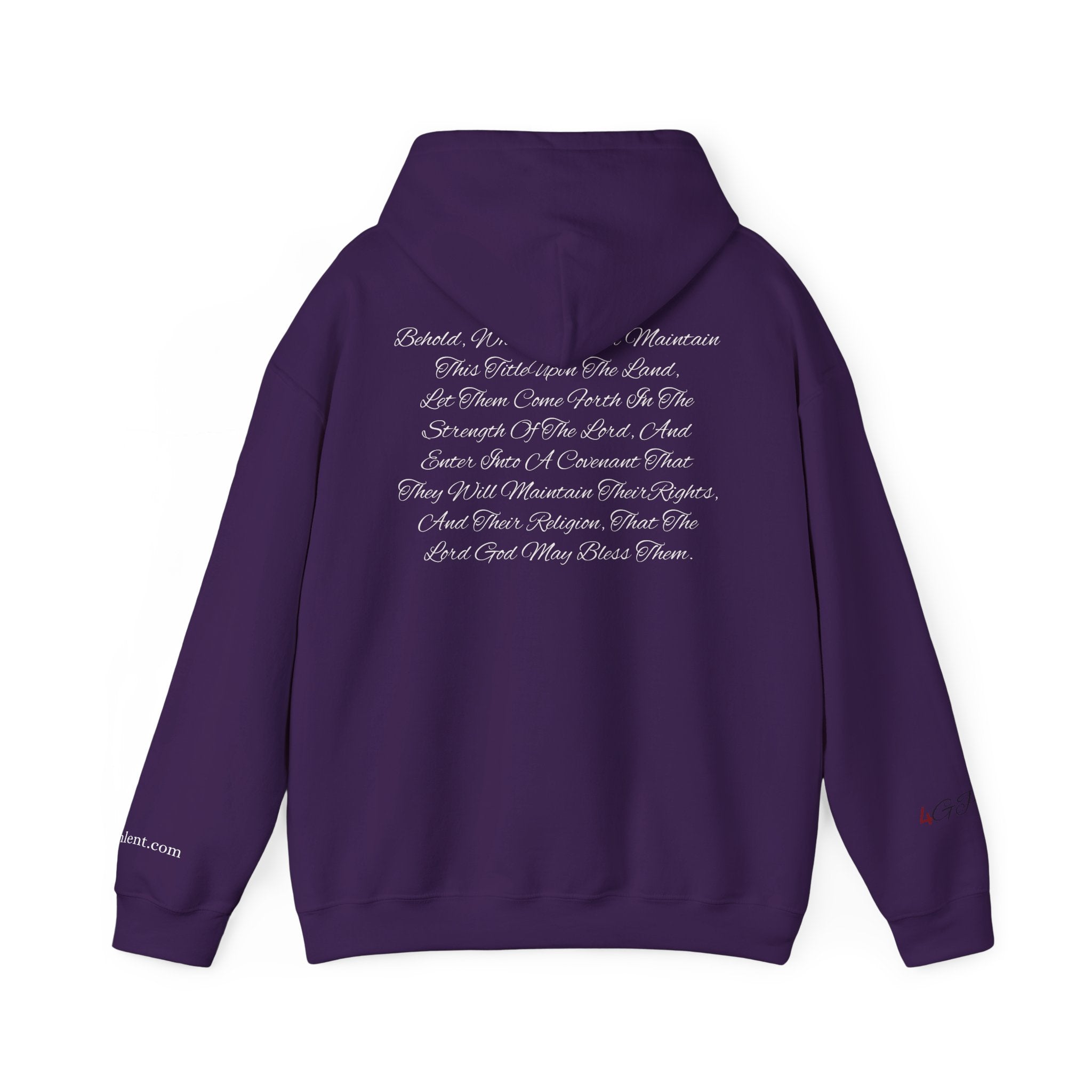 Copy of American Flag  Title Of Liberty Hoodie | Distressed Stars Stripes Graphic