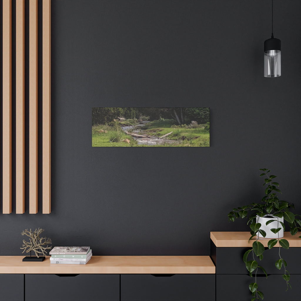 River Meadow Canvas Print — Tranquil Nature Wall Art