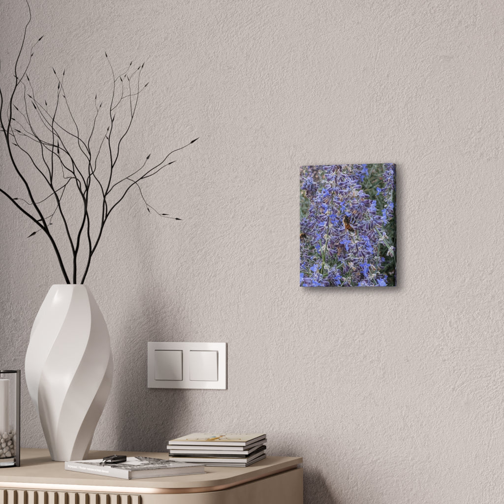 Purple Sage Honeybee Canvas Print — Floral Nature Wall Art