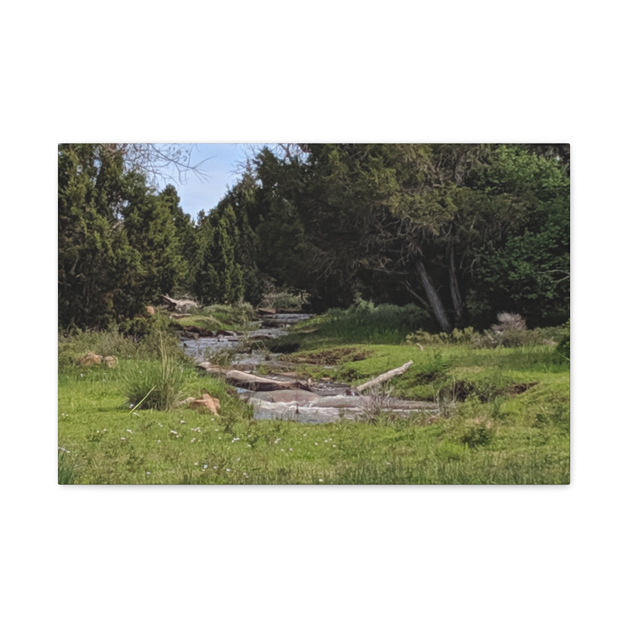 River Meadow Canvas Print — Tranquil Nature Wall Art