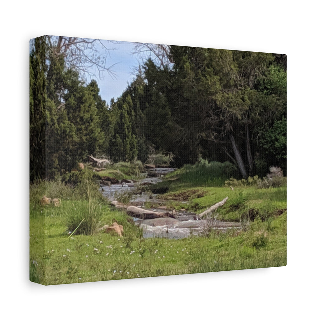 River Meadow Canvas Print — Tranquil Nature Wall Art