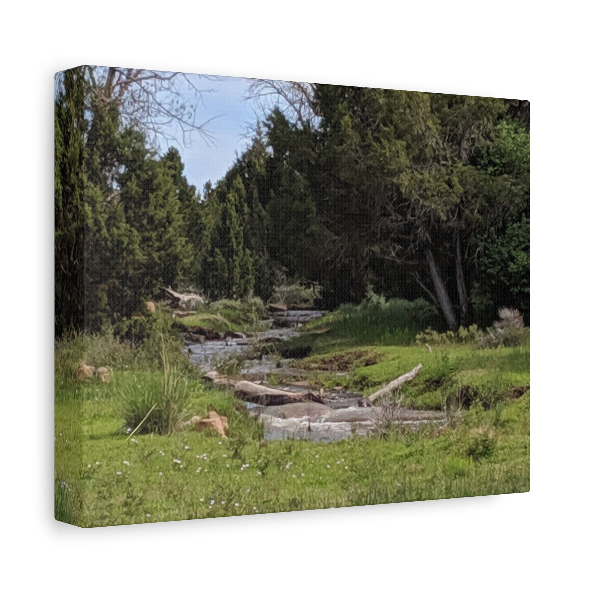 River Meadow Canvas Print — Tranquil Nature Wall Art