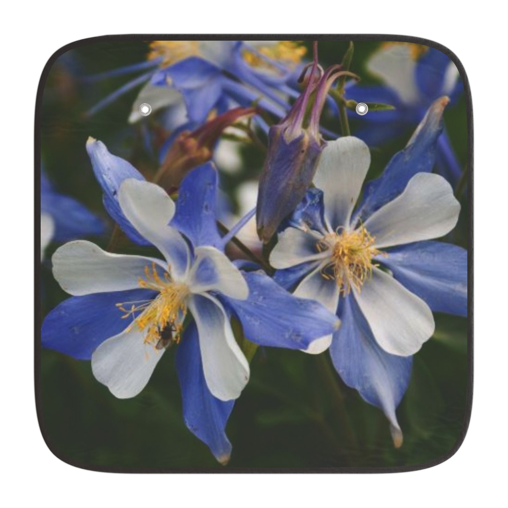 Floral Columbine Car Sun Shade — Blue Wildflower Windshield Protector