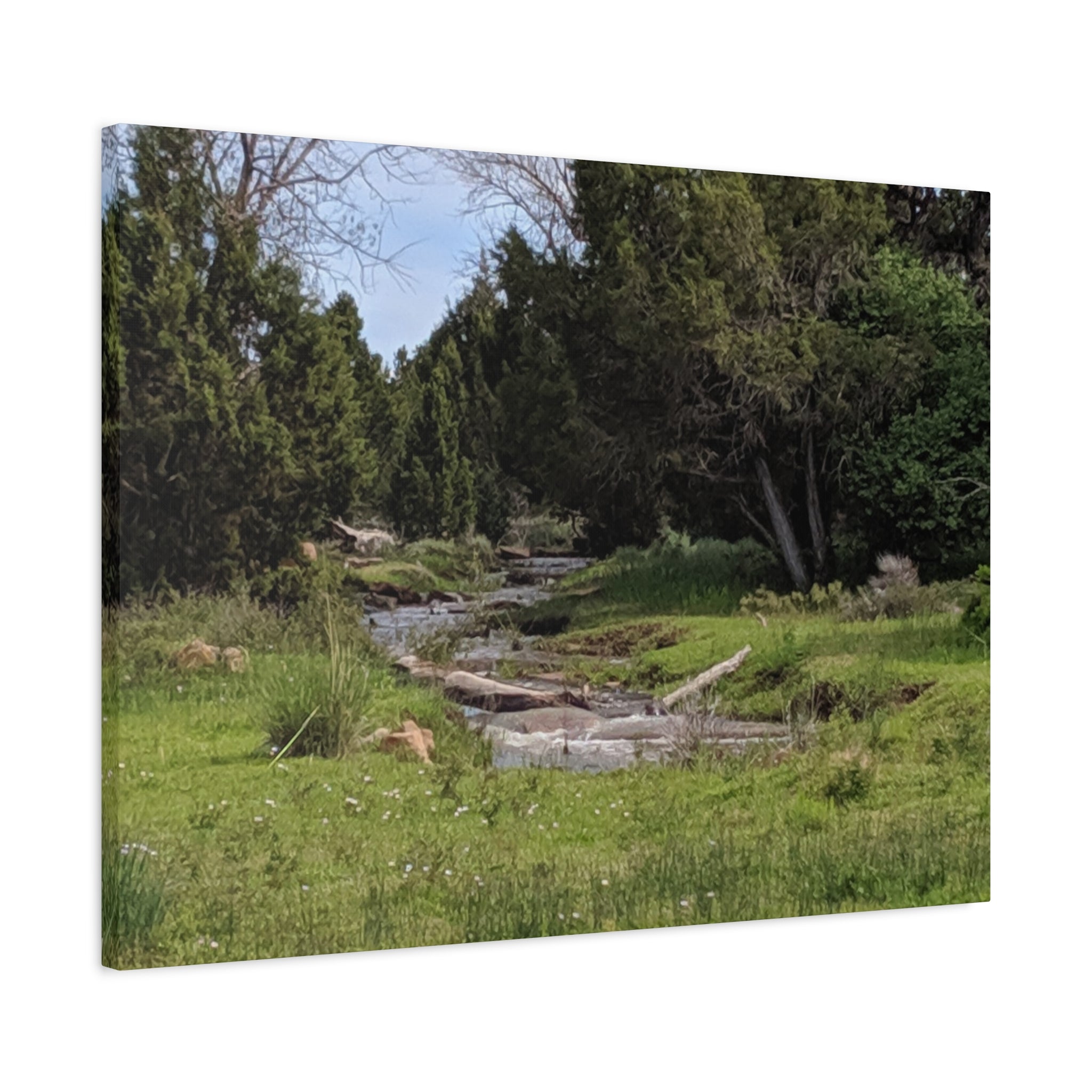 River Meadow Canvas Print — Tranquil Nature Wall Art