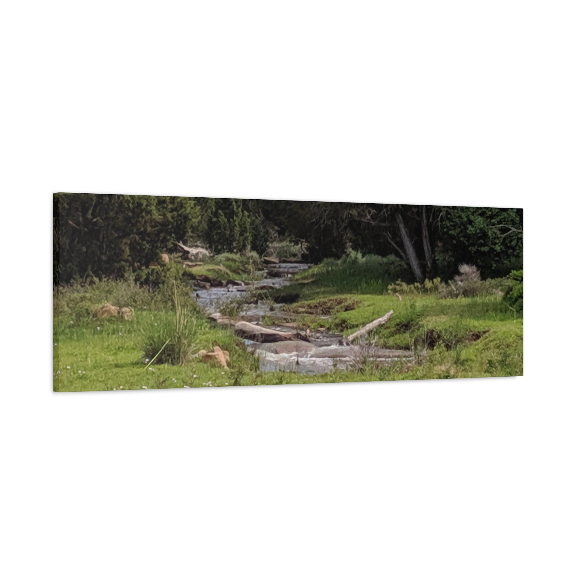 River Meadow Canvas Print — Tranquil Nature Wall Art