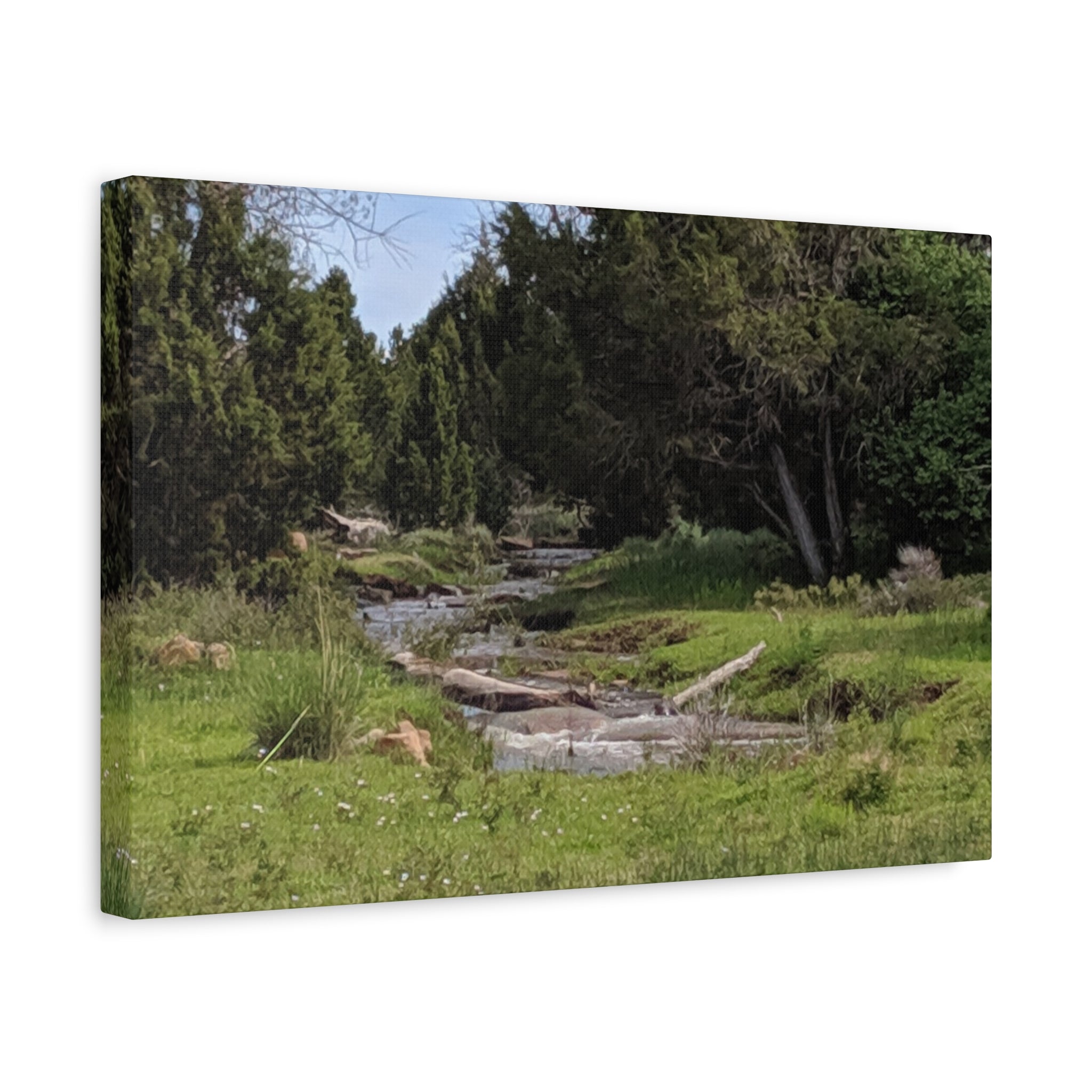 River Meadow Canvas Print — Tranquil Nature Wall Art