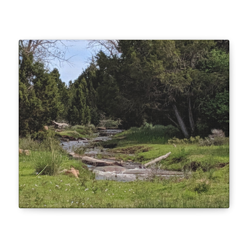 River Meadow Canvas Print — Tranquil Nature Wall Art