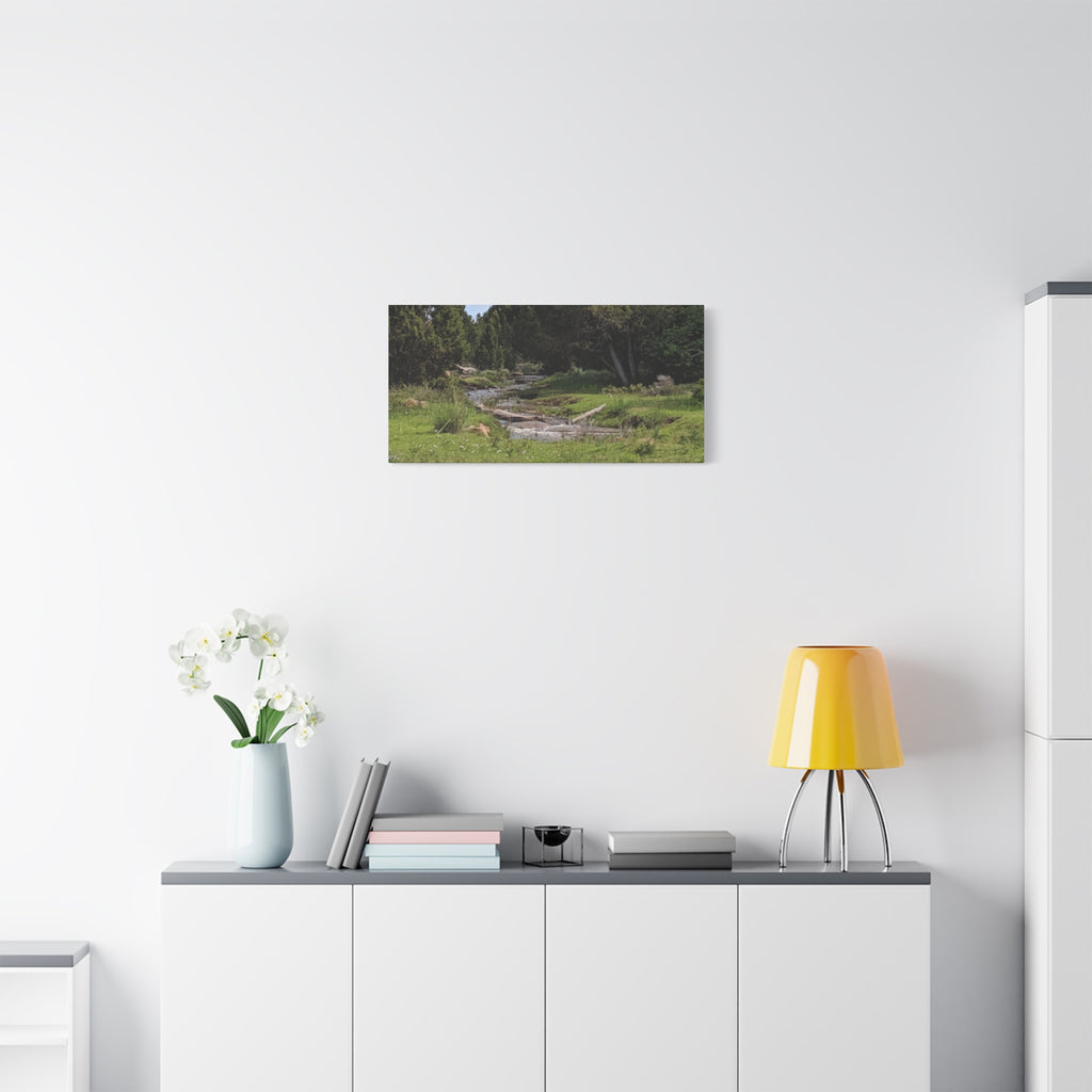 River Meadow Canvas Print — Tranquil Nature Wall Art