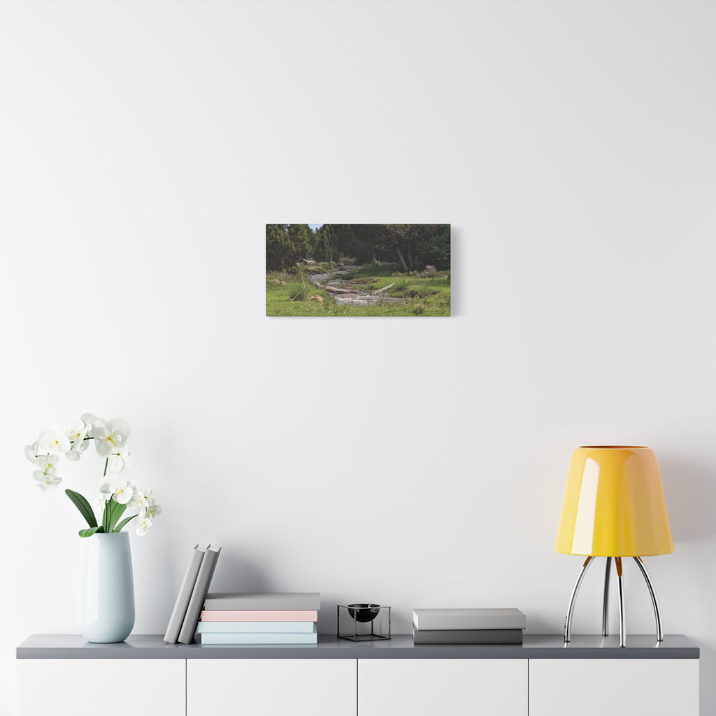 River Meadow Canvas Print — Tranquil Nature Wall Art