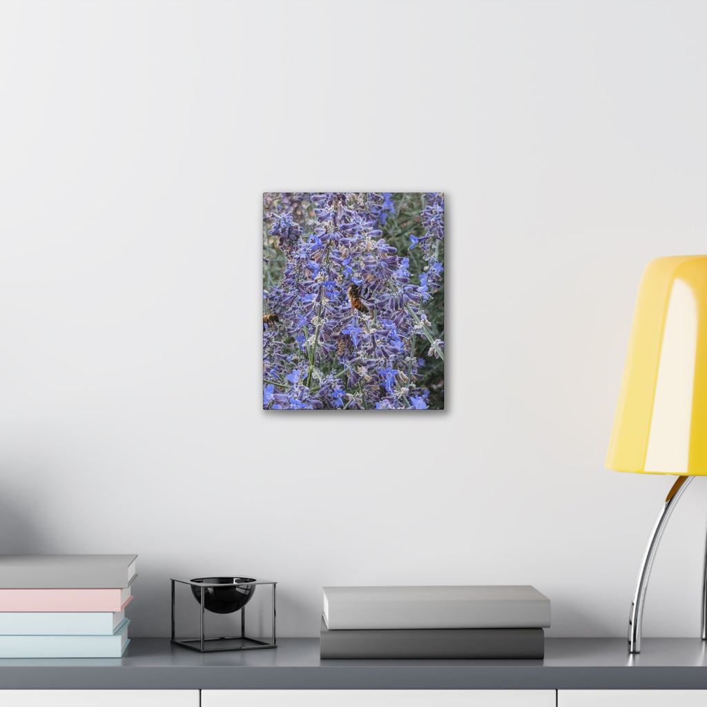 Purple Sage Honeybee Canvas Print — Floral Nature Wall Art