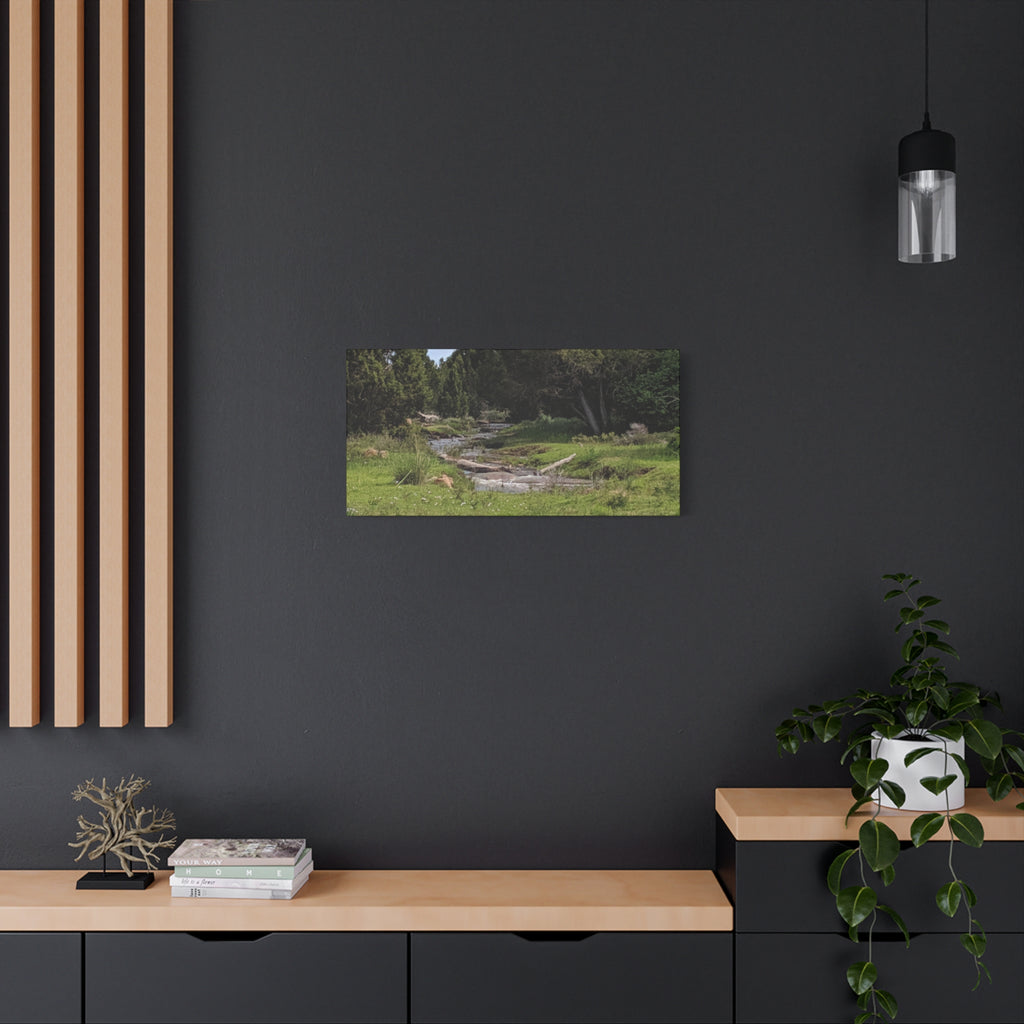 River Meadow Canvas Print — Tranquil Nature Wall Art