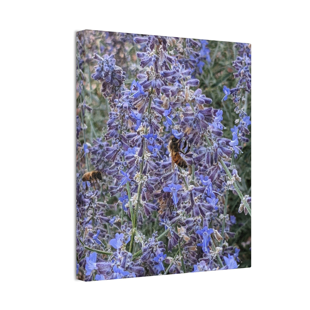 Purple Sage Honeybee Canvas Print — Floral Nature Wall Art