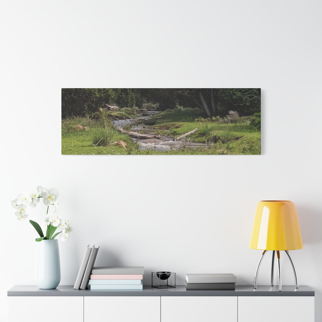 River Meadow Canvas Print — Tranquil Nature Wall Art
