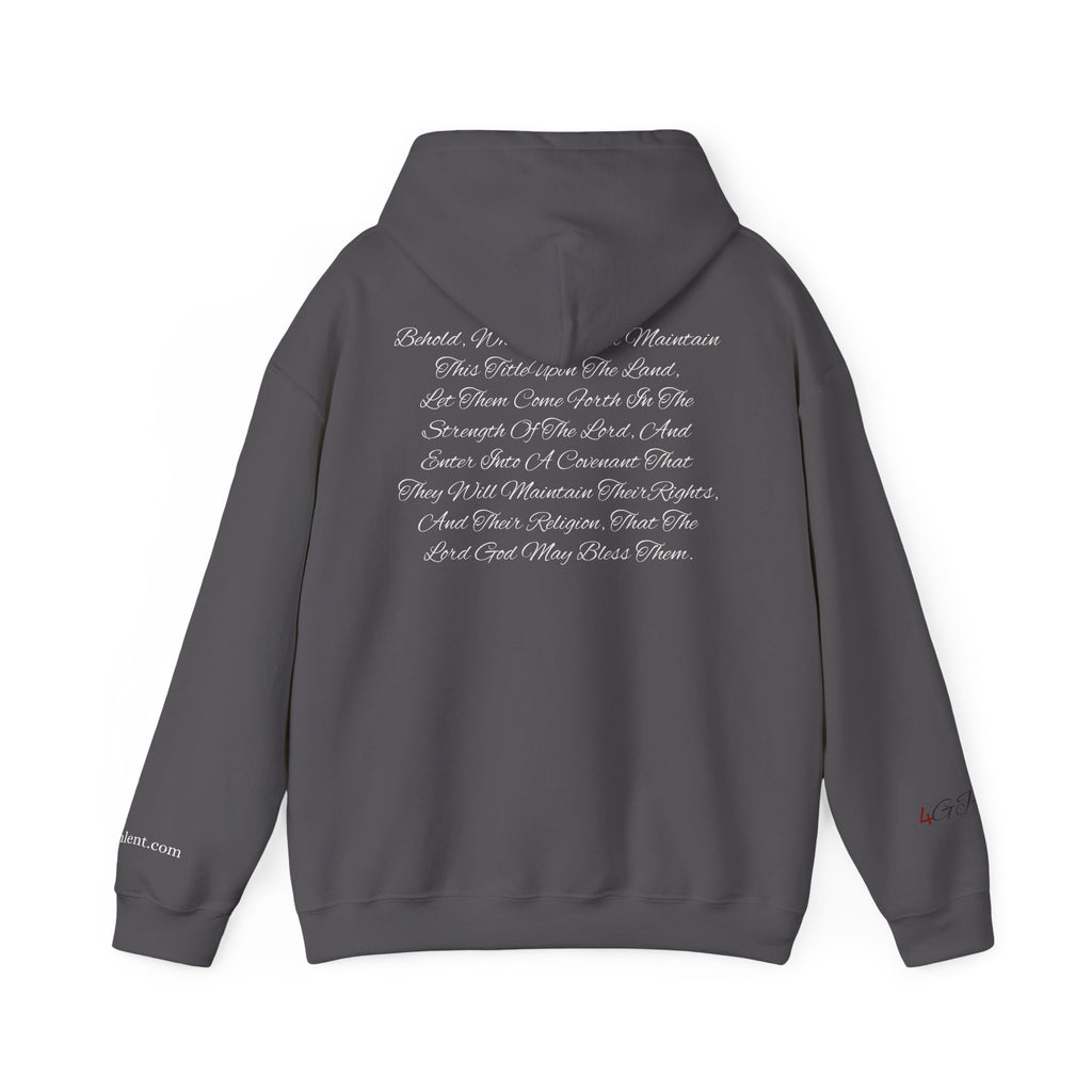 Copy of American Flag  Title Of Liberty Hoodie | Distressed Stars Stripes Graphic