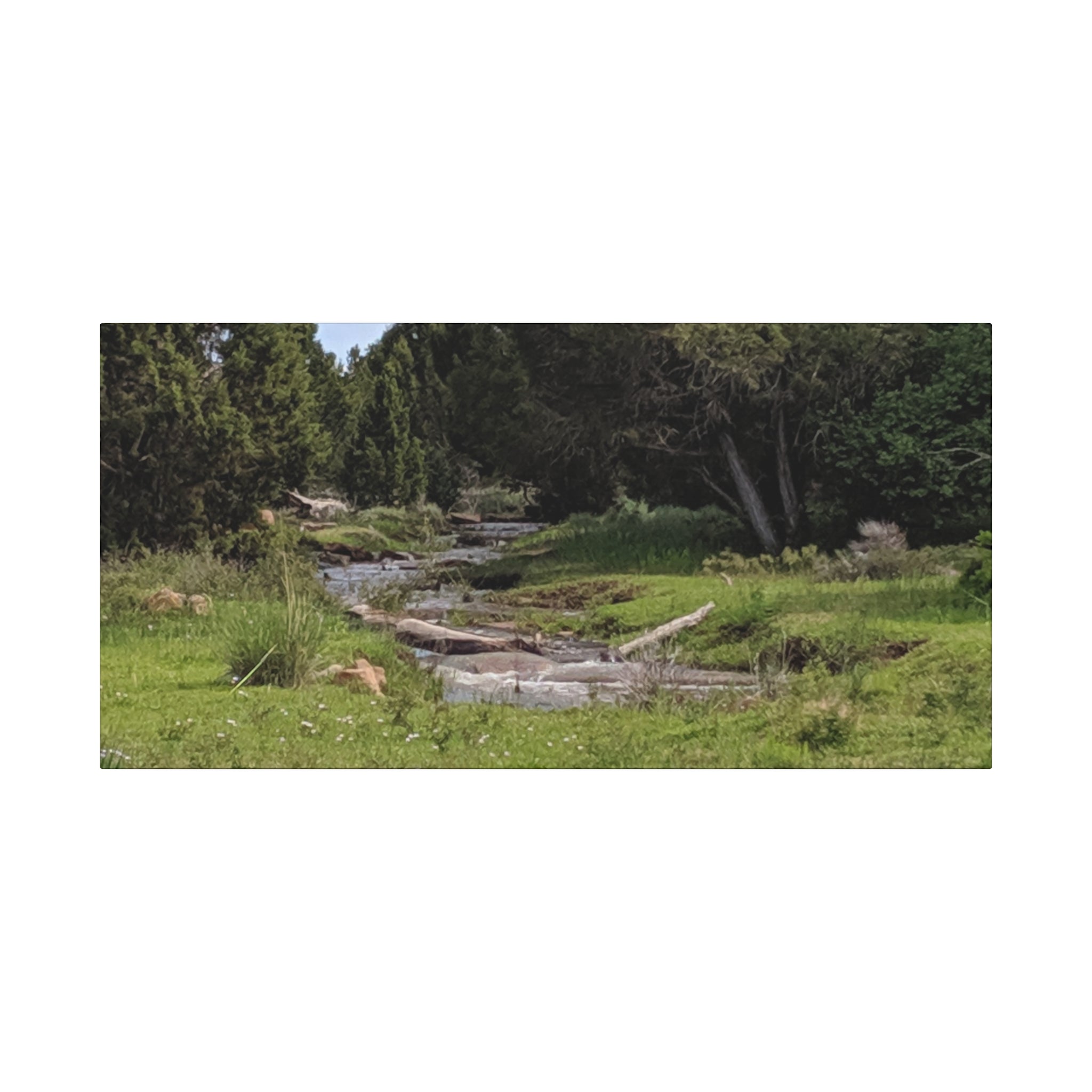 River Meadow Canvas Print — Tranquil Nature Wall Art