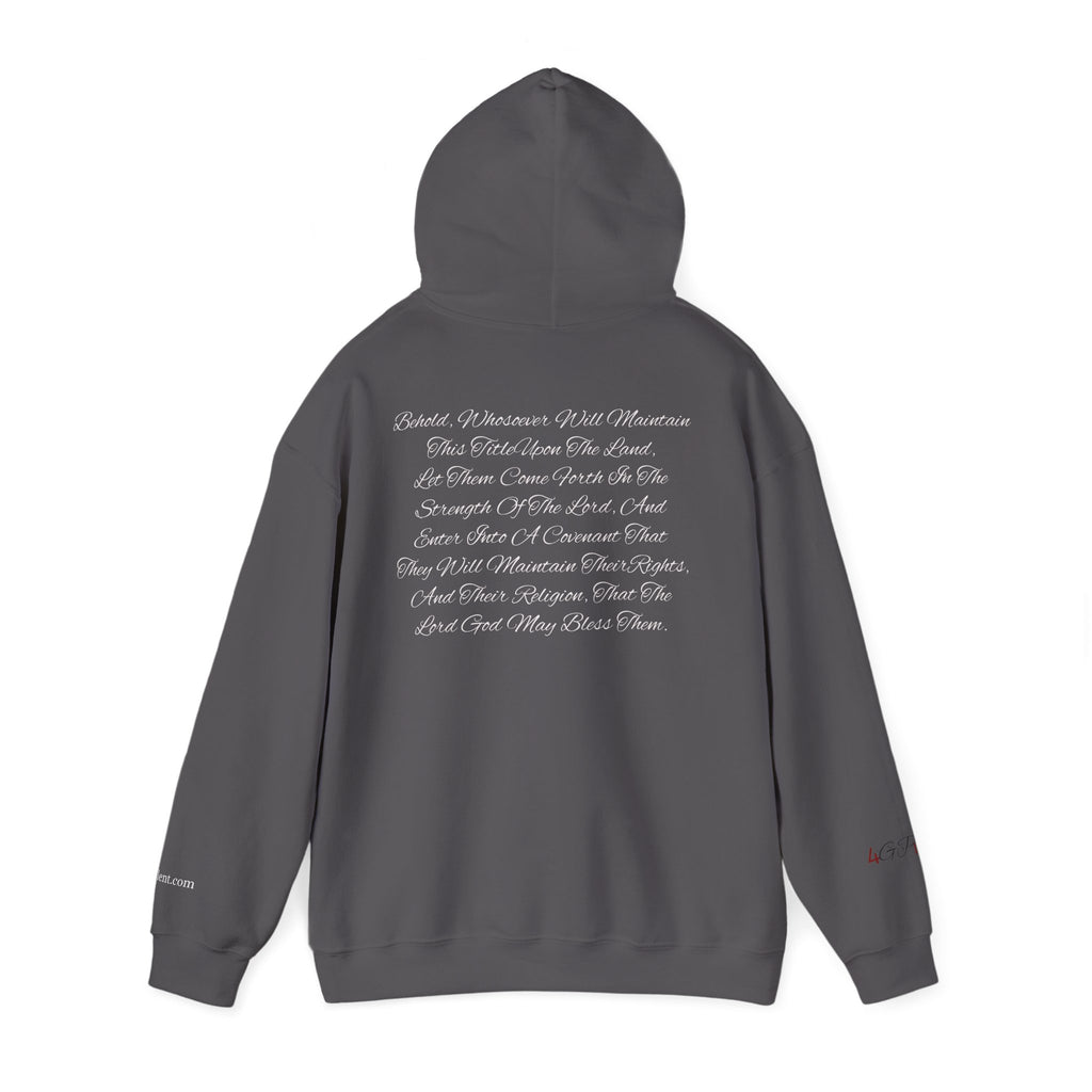 Copy of American Flag  Title Of Liberty Hoodie | Distressed Stars Stripes Graphic