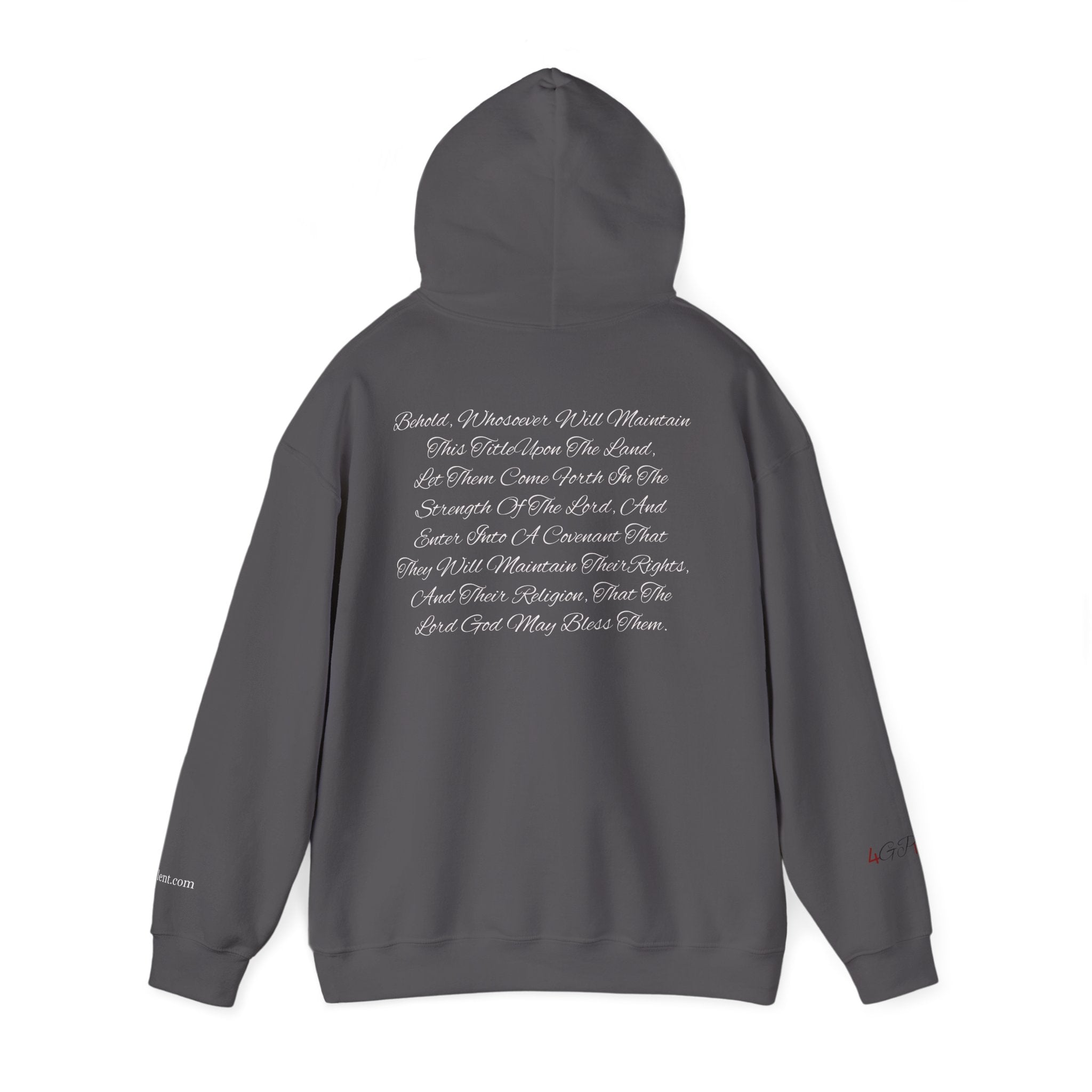 Copy of American Flag  Title Of Liberty Hoodie | Distressed Stars Stripes Graphic