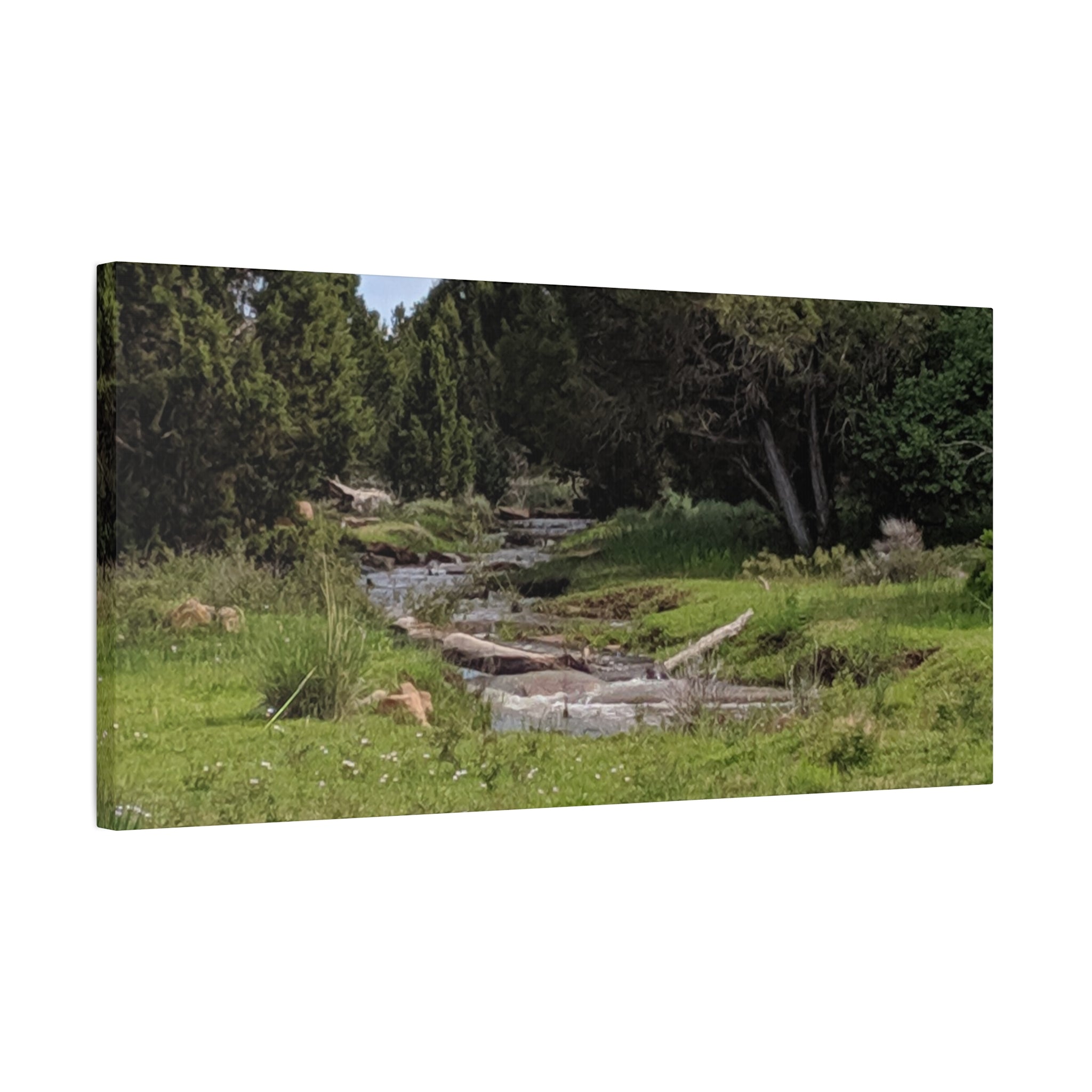 River Meadow Canvas Print — Tranquil Nature Wall Art