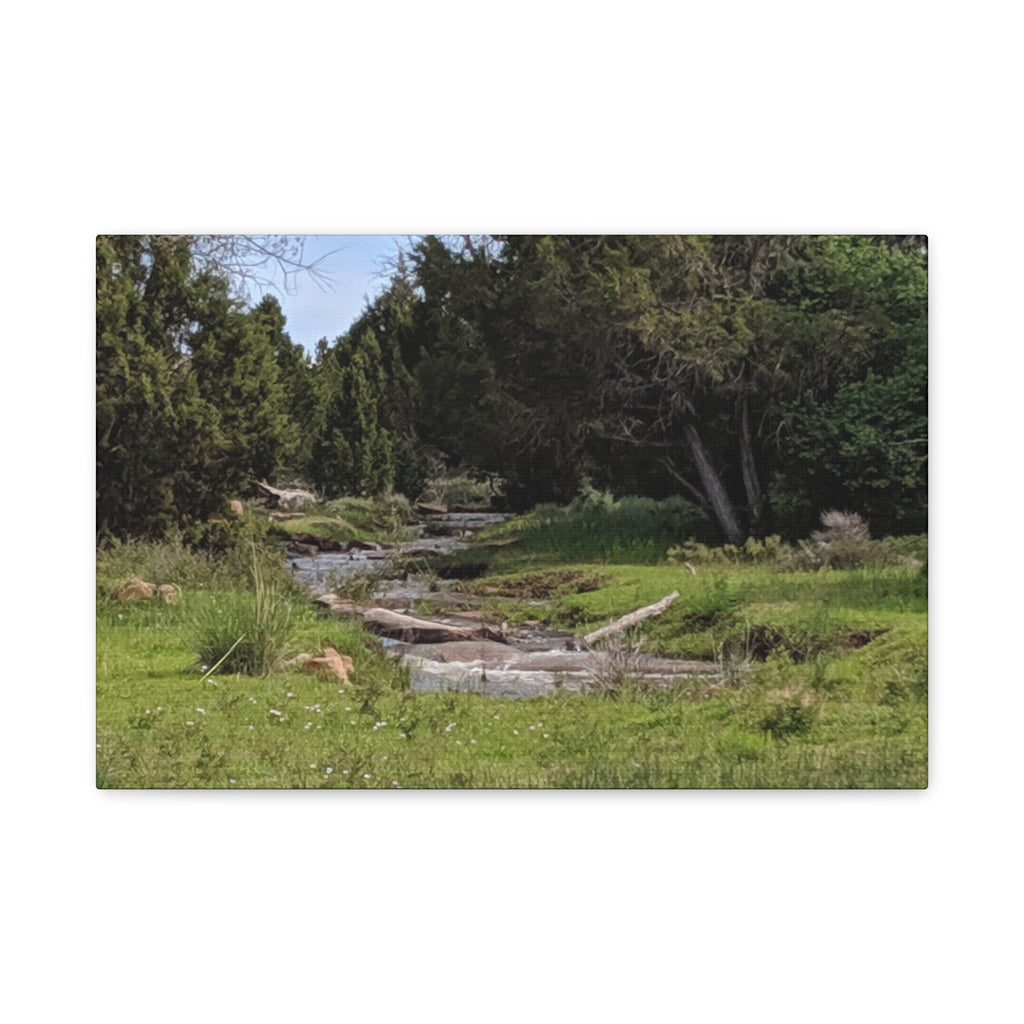 River Meadow Canvas Print — Tranquil Nature Wall Art