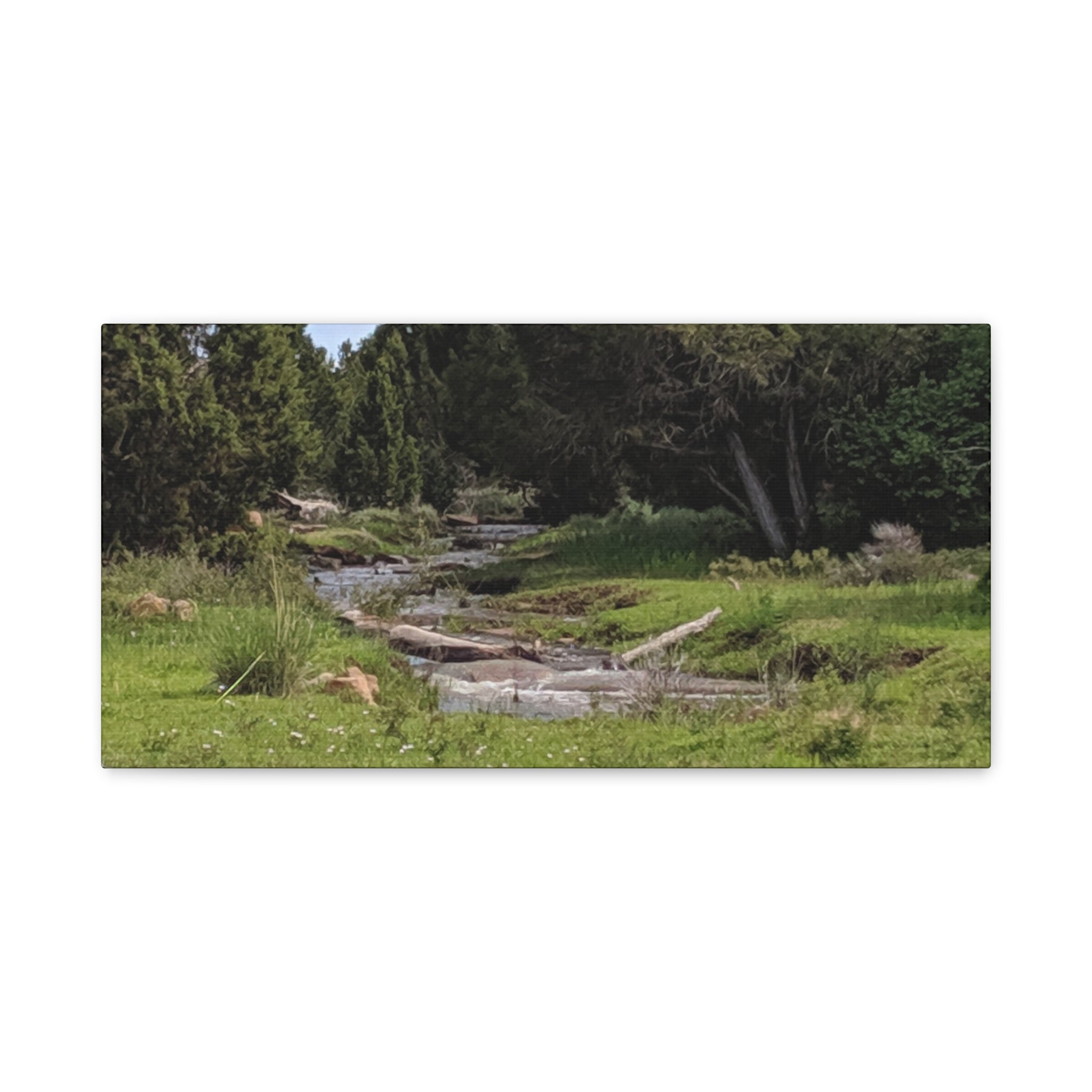 River Meadow Canvas Print — Tranquil Nature Wall Art