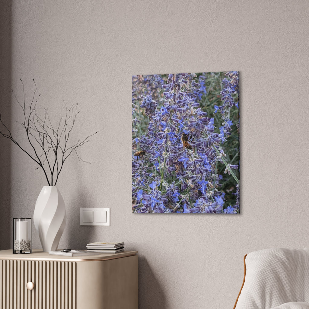 Purple Sage Honeybee Canvas Print — Floral Nature Wall Art
