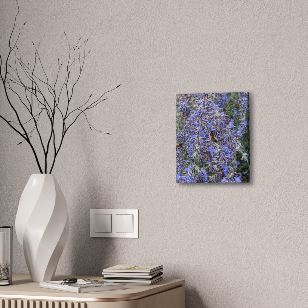 Purple Sage Honeybee Canvas Print — Floral Nature Wall Art