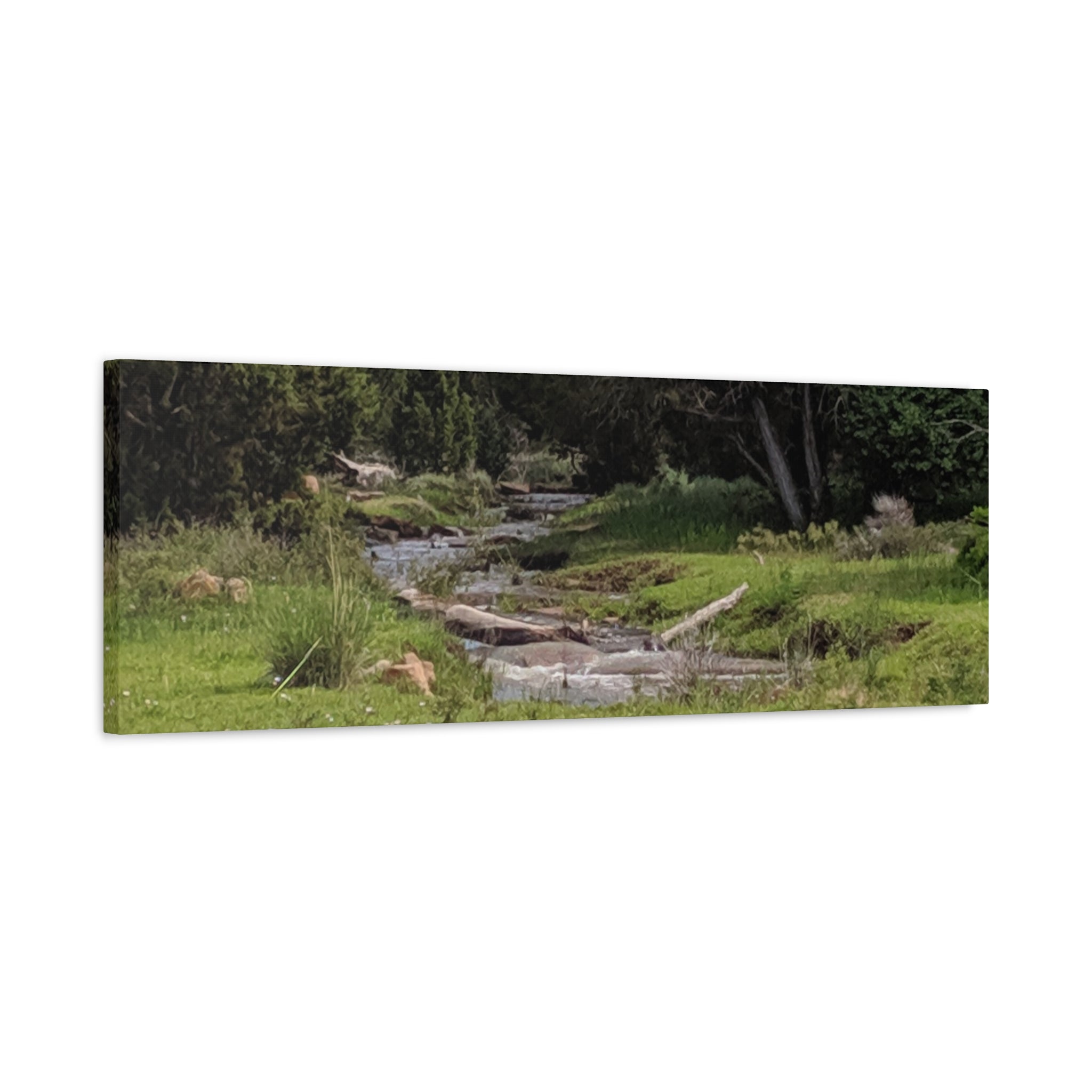 River Meadow Canvas Print — Tranquil Nature Wall Art
