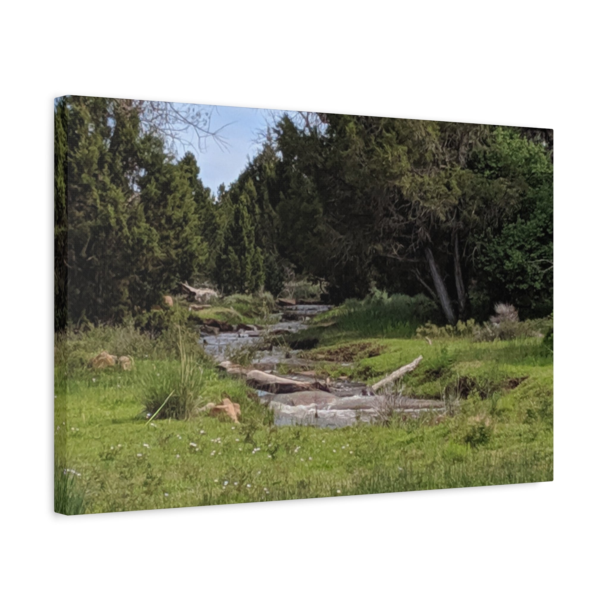 River Meadow Canvas Print — Tranquil Nature Wall Art