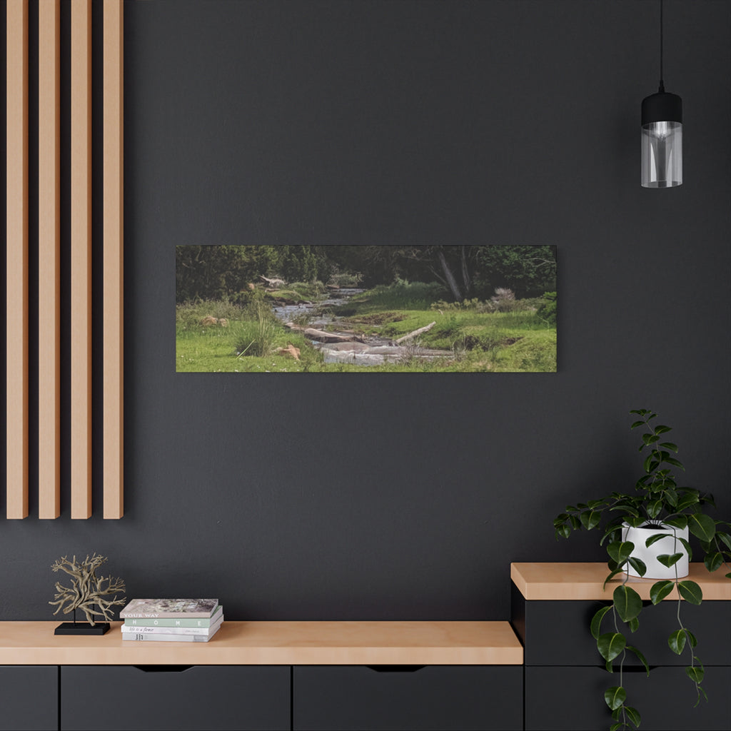 River Meadow Canvas Print — Tranquil Nature Wall Art
