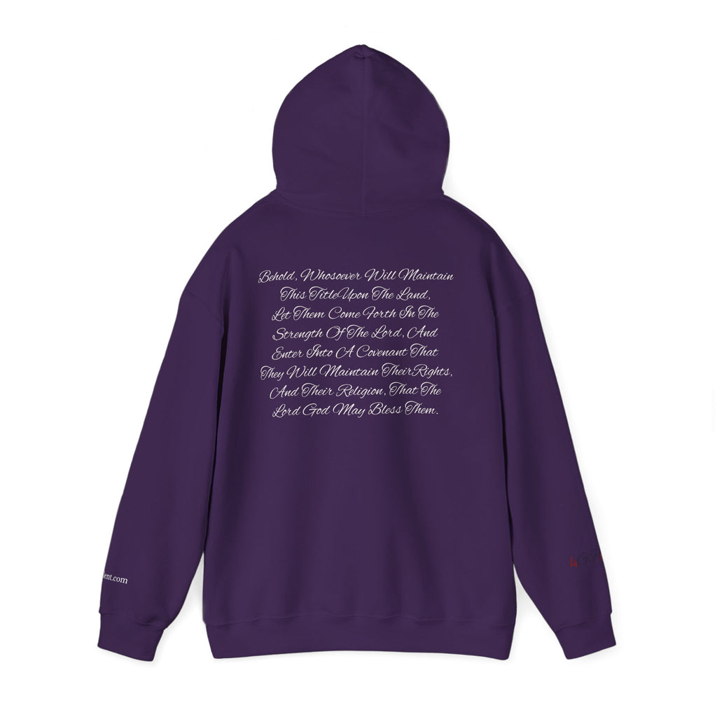 Copy of American Flag  Title Of Liberty Hoodie | Distressed Stars Stripes Graphic