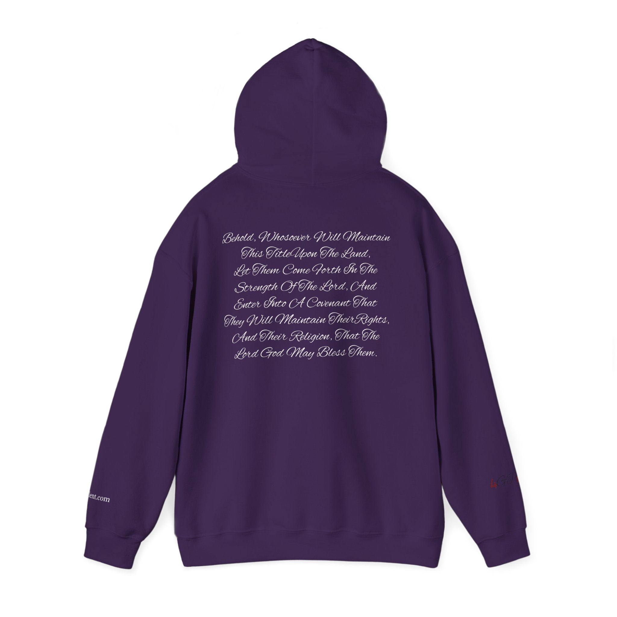 Copy of American Flag  Title Of Liberty Hoodie | Distressed Stars Stripes Graphic
