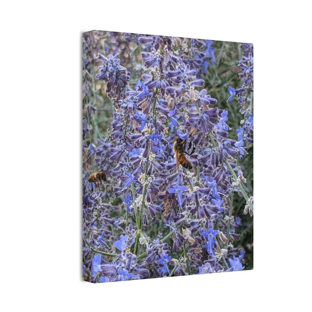 Purple Sage Honeybee Canvas Print — Floral Nature Wall Art