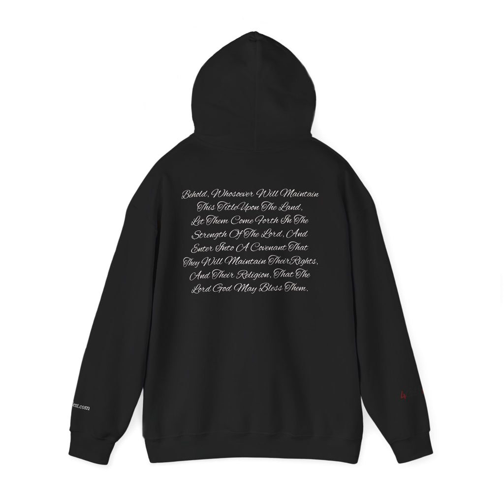 Copy of American Flag  Title Of Liberty Hoodie | Distressed Stars Stripes Graphic