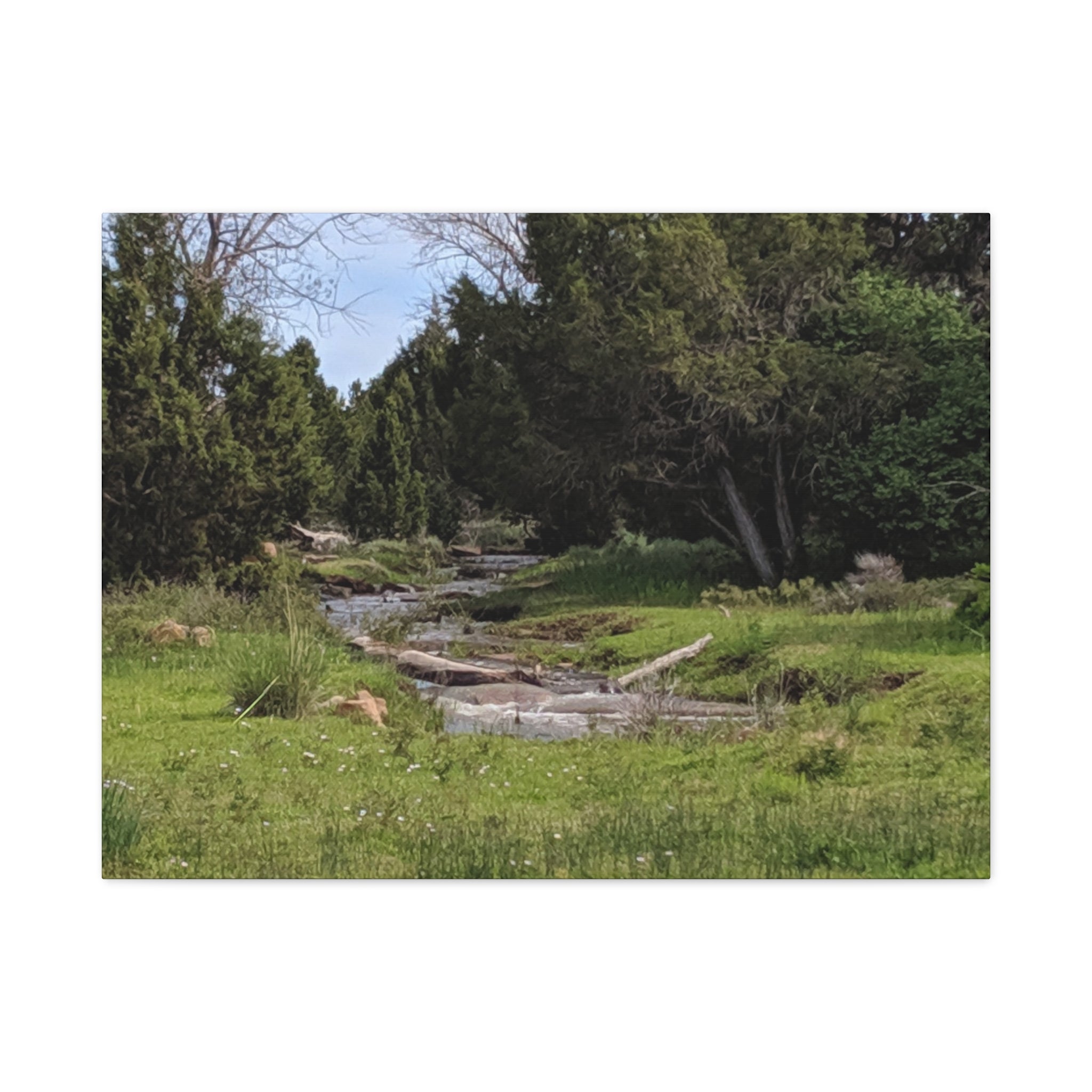 River Meadow Canvas Print — Tranquil Nature Wall Art