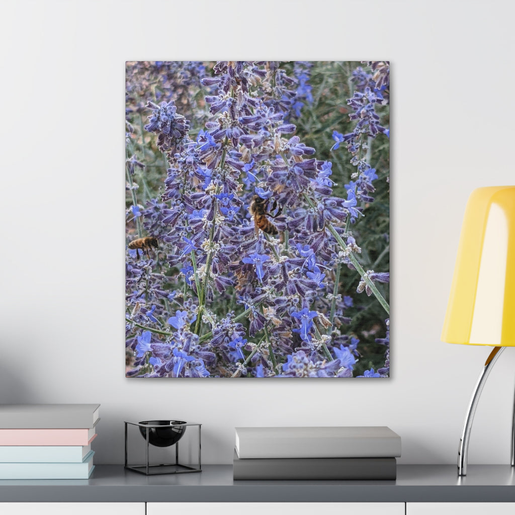 Purple Sage Honeybee Canvas Print — Floral Nature Wall Art