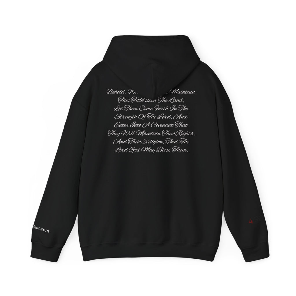 Copy of American Flag  Title Of Liberty Hoodie | Distressed Stars Stripes Graphic