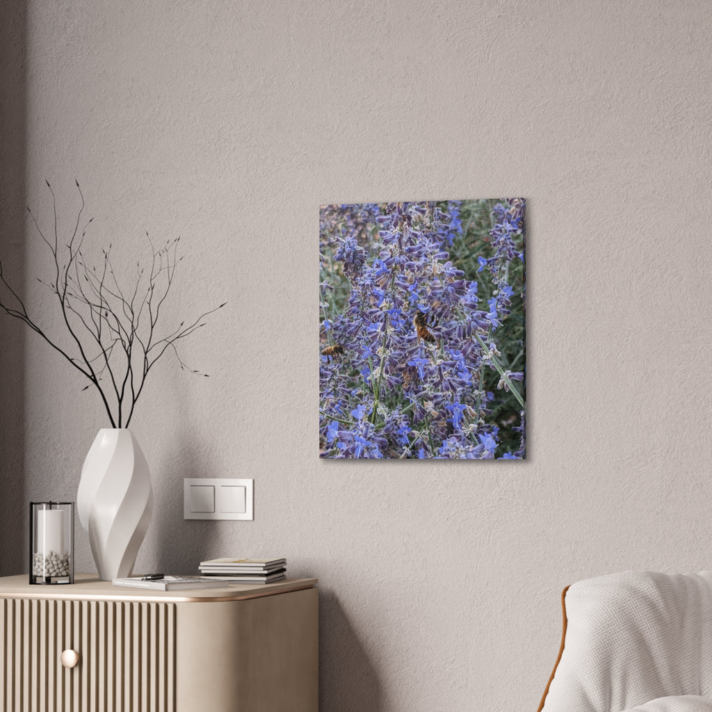 Purple Sage Honeybee Canvas Print — Floral Nature Wall Art