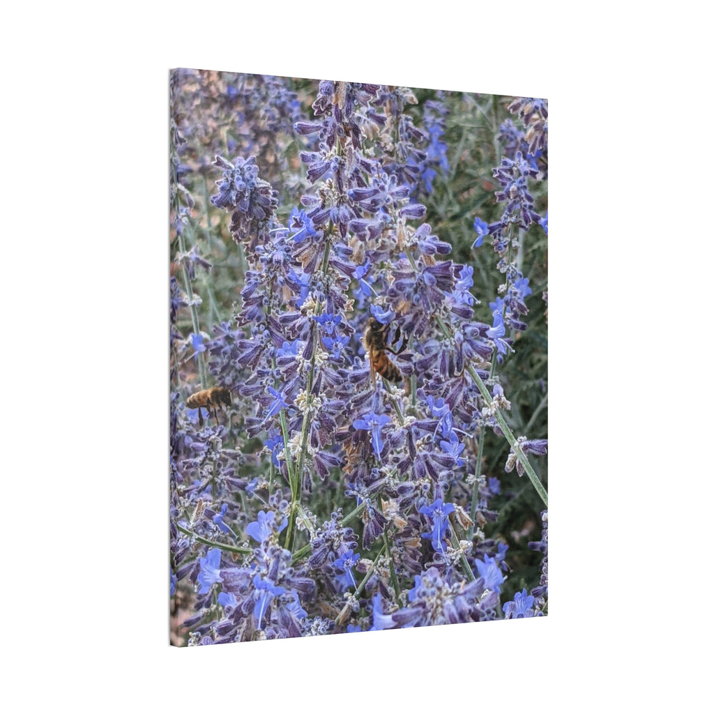 Purple Sage Honeybee Canvas Print — Floral Nature Wall Art