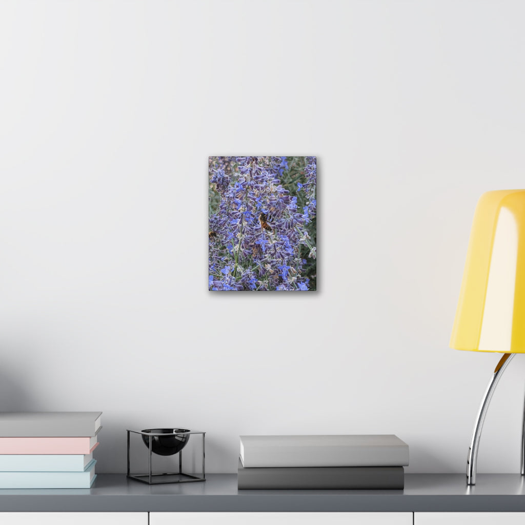 Purple Sage Honeybee Canvas Print — Floral Nature Wall Art
